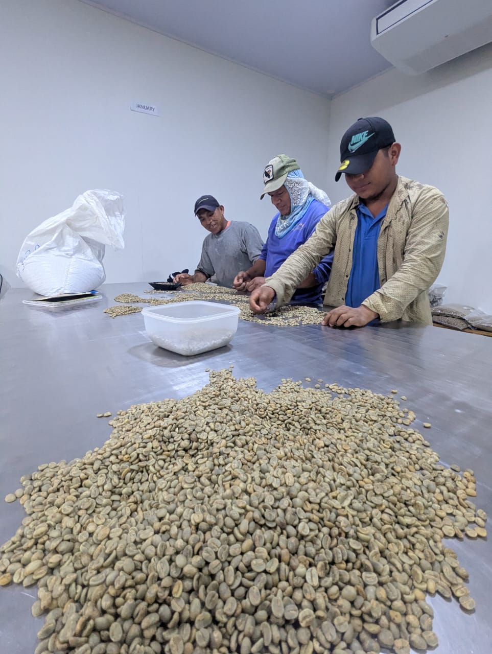 Two Cousins Coffee Panama — Catuaí Amarillo (Medium Roast)