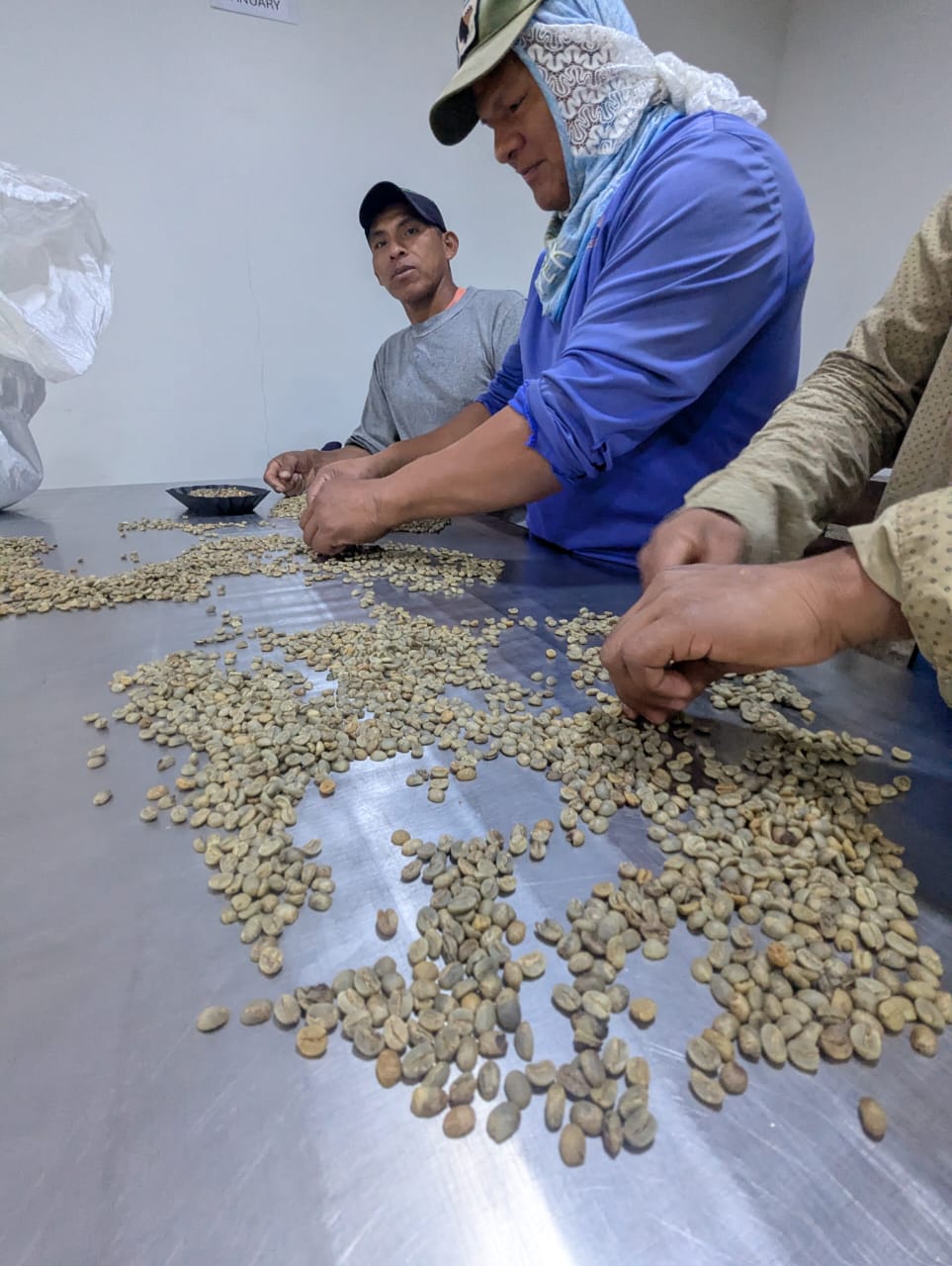 Two Cousins Coffee Panama — Catuaí Amarillo (Medium Roast)